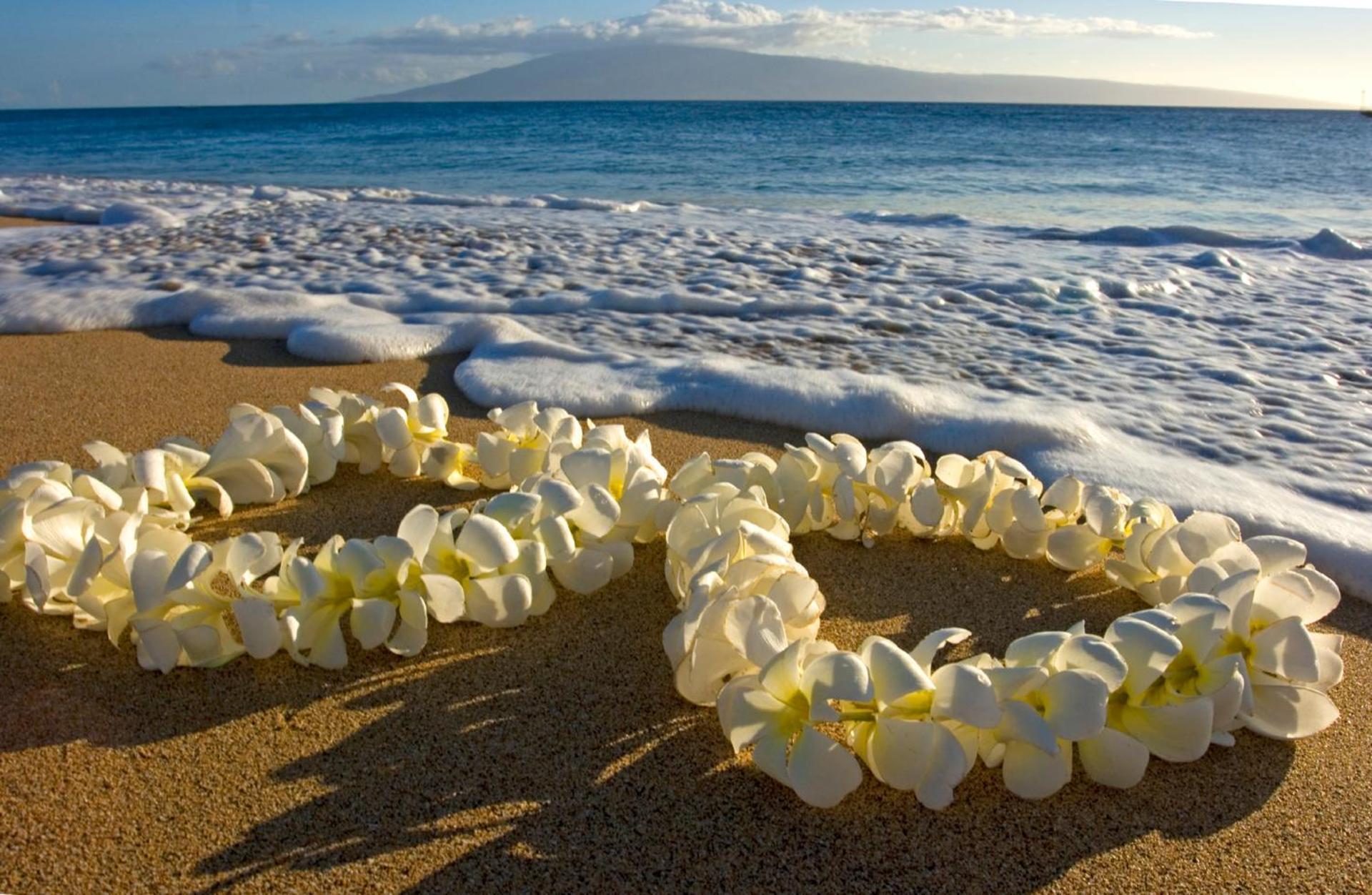 Beautiful 1Br, Steps To Waikiki Beach And Parking Honolulu Kültér fotó