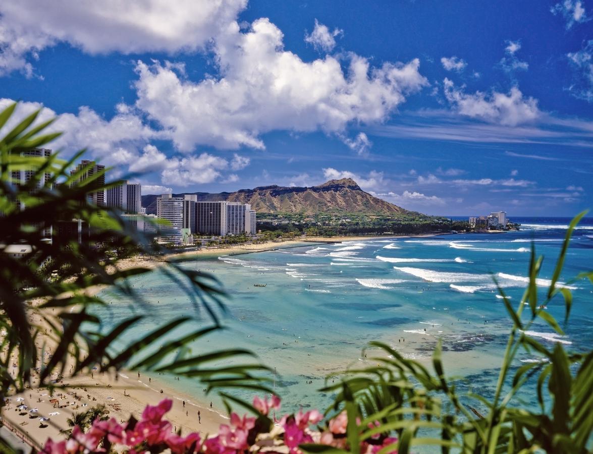 Beautiful 1Br, Steps To Waikiki Beach And Parking Honolulu Kültér fotó